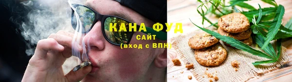 стаф Арсеньев