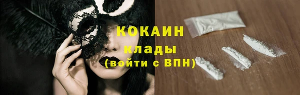 стаф Арсеньев