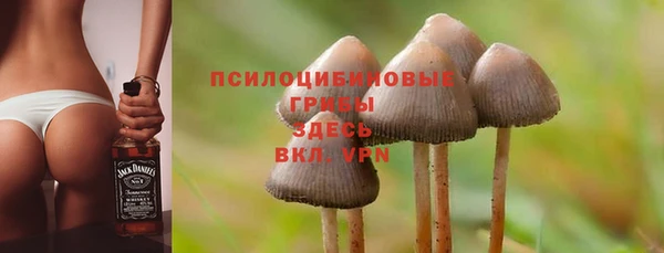 кокс Алзамай