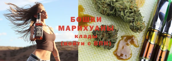 стаф Арсеньев