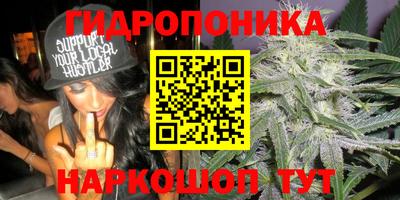 эйфоретик Бугуруслан